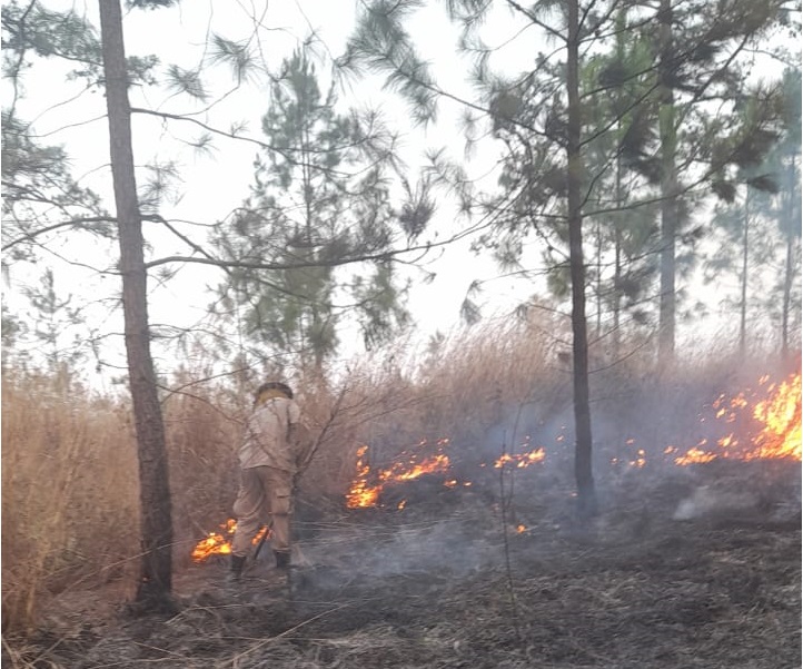 ICF Se Combate Incendio Forestal En El Parque Nacional La Tigra