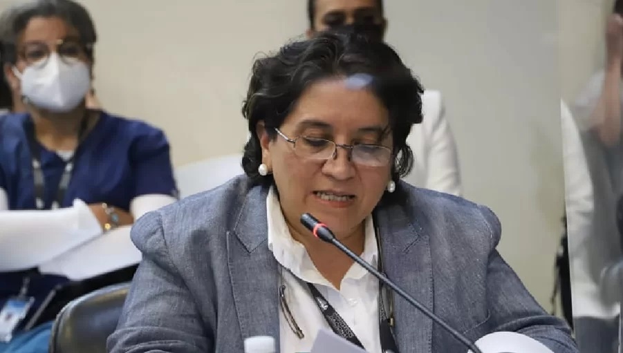 Diputada Figueroa "caótica situación en sistema sanitario"