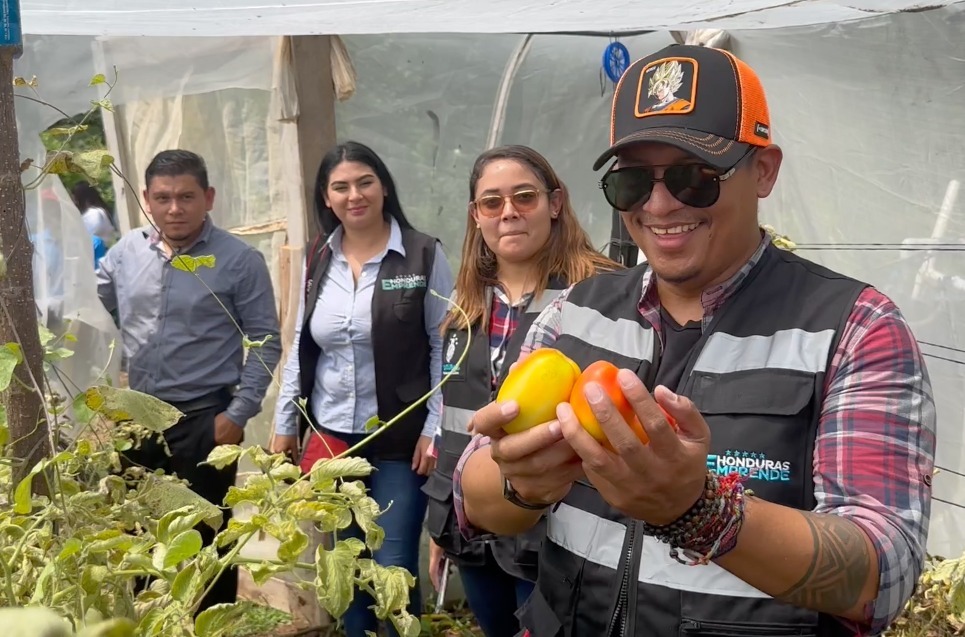 Presidenta Castro impulsa desarrollo de "Cajas Productivas" en Ocotepeque