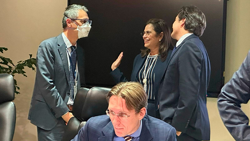 FMI considera “esencial” seguir avanzando en sector energético