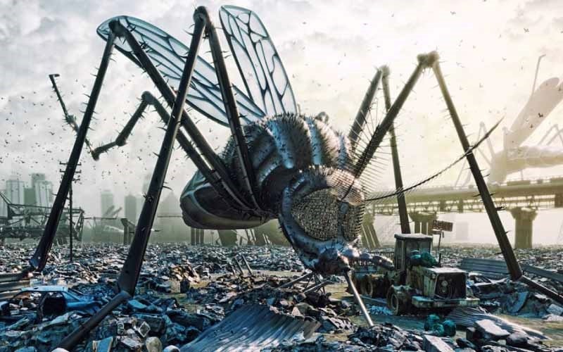 Honduras "Continúa epidemia de DENGUE"