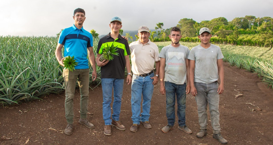 Walmart, beneficia productores locales con programa "Tierra Fértil"