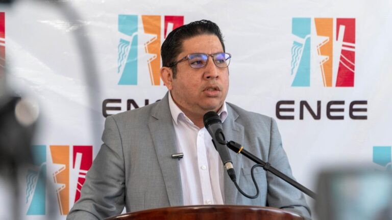 Gerente de la Empresa Nacional de Energía Eléctrica (ENEE), Erick Tejada
