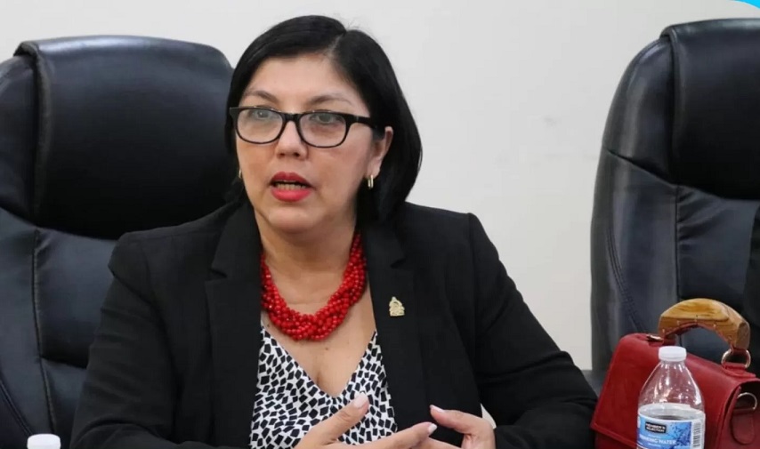 Interinato de Fiscales "terminará hasta que se logre mayoría calificada", Diputada Ayala