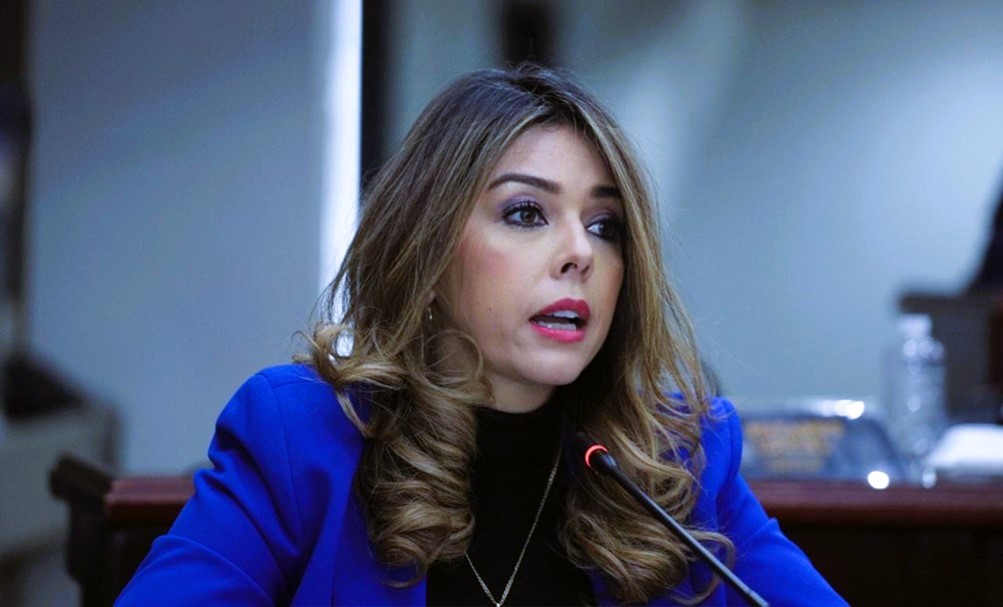 Cuestionan "blindaje" de la ENEE en contratos de energía