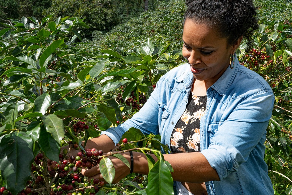 Nestlé reafirma su compromiso con los caficultores en Honduras