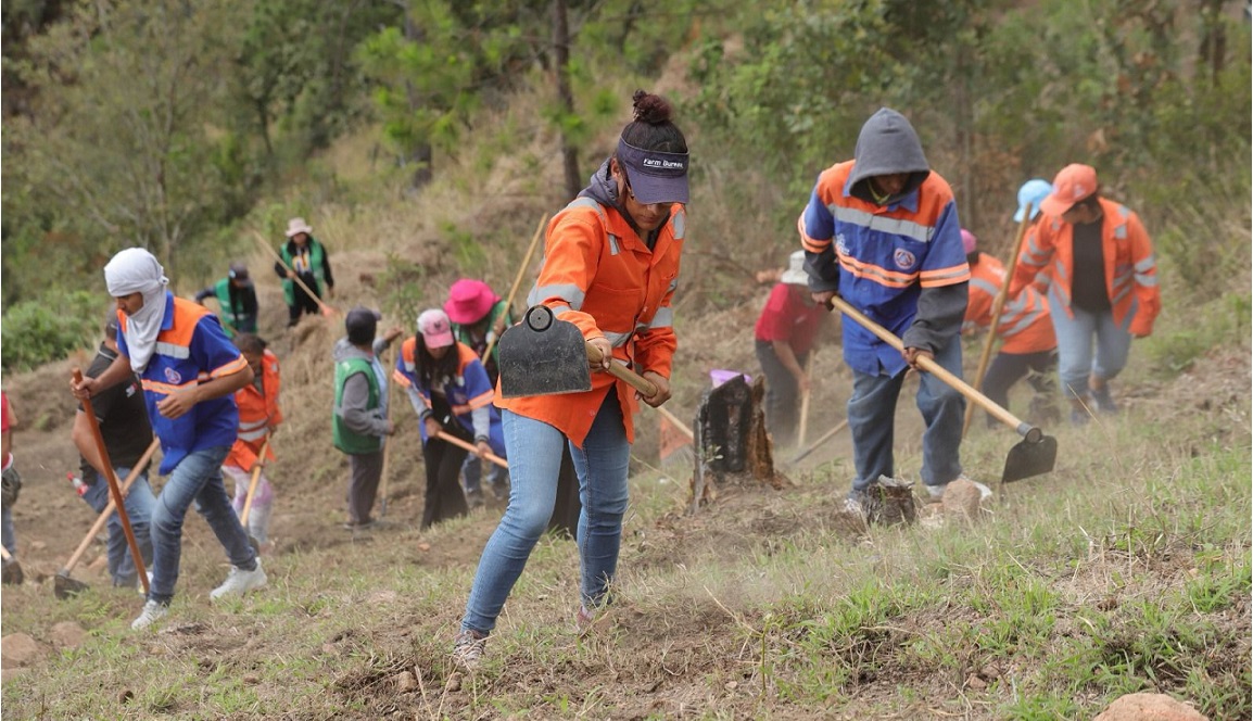 AMDC: refuerza su protección con rondas cortafuego