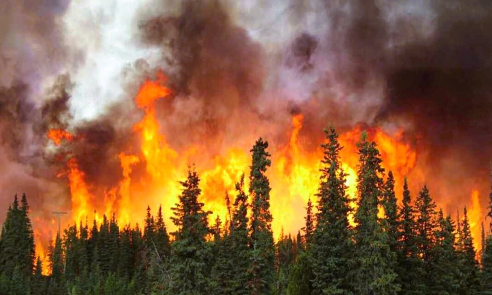 Honduras registra 468 incendios forestales en 2025