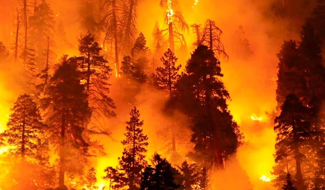 Incendios arrasan bosques en Honduras en 2025