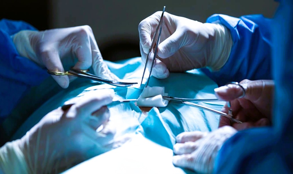 IHSS logra su trasplante renal número 74 en Honduras