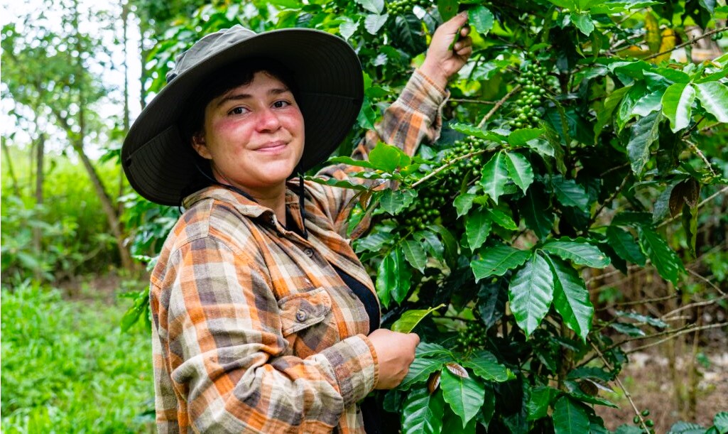 Nestlé impulsa el futuro del café en Honduras