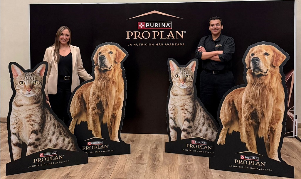 Dermatitis canina: Alerta en temporada lluviosa