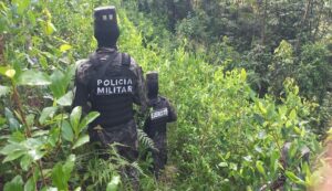 ONU advierte de un «aumento significativo» del cultivo de coca en Centroamérica