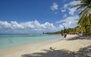 Roatán renace: litoral casi libre de sargazo