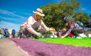 San Salvador Centro se prepara para crear la alfombra más grande de Centroamérica