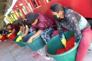 Inicia preparación de alfombras de aserrín en avenida Cervantes