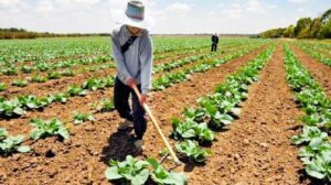 Productores exigen reestructuración urgente de deudas ante crisis económica