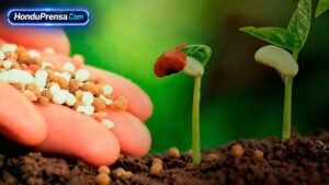 AGRO exige respuestas ante tijera millonaria en 2026