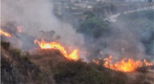 640 siniestros forestales sacuden Honduras