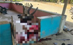 Trujillo bajo terror: brutal masacre deja más de 10 víctimas