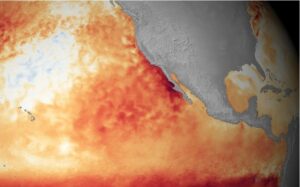 Fenómeno El Niño se forma en el Pacífico con previsión de ser “muy fuerte”