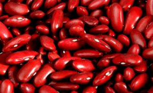 Honduras: medida de frijoles sube de precio