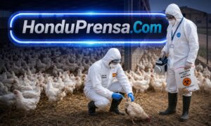 SAG pide calma ante emergencia por gripe aviar