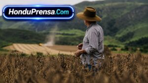 Honduras pierde $120 millones mientras AGRO enfrenta SEQUÍA