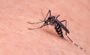 Detectan caso de malaria en México