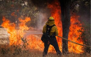 Incendio al sureste de España deja 12 muertos y 23 desaparecidos