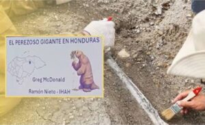 Descubren fósil de un perezoso gigante en Honduras