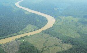 La bioeconomía de la Amazonía, víctima potencial de El Niño