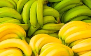 El agro impulsa economía hondureña con mayor producción