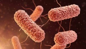 Nuevo brote de Salmonella en EEUU