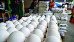 Nuevo golpe al bolsillo: cartón de huevos sube de precio