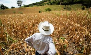Copeco descarta crisis alimentaria por sequía