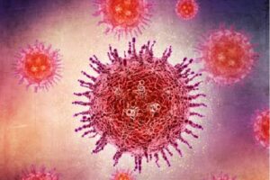 Muere en Francia un hombre con el virus shamonda