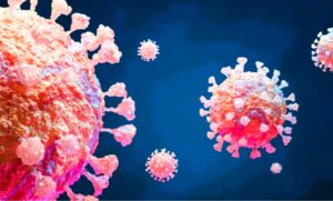 El Shamonda, un virus que da el salto al ser humano